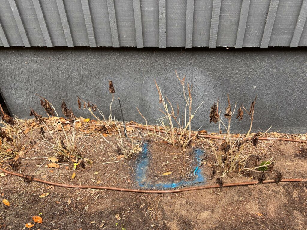 Recherche de fuite enterrée au Cap Ferret - 16 janvier - adn recherche de fuite