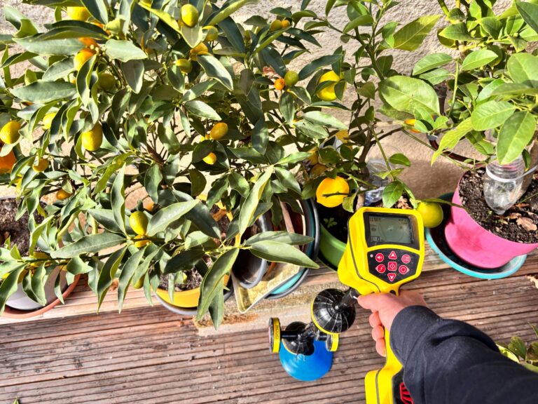 recherche de fuite - jardin - merignac