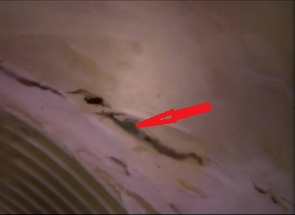 recherche de fuite piscine - pessac - adn online