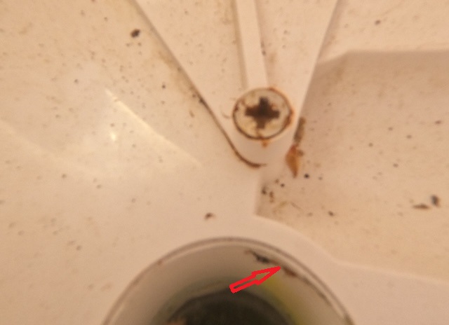 Mise en évidence de la fuite sur skimmer piscine à Gujan Mestras