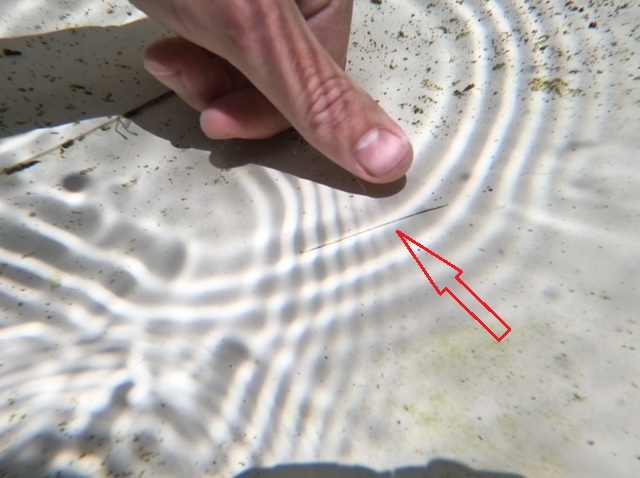 Localisation précise de la fuite sur membrane armée de la piscine à Camblanes et Meynac. Marquée par une flèche rouge